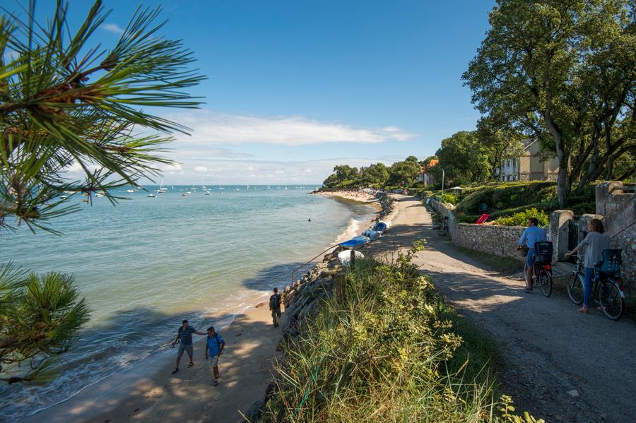 Le Bois de la Chaise  Forêt de l'Île de Noirmoutier